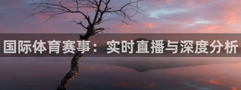 飞速直播nba免费观看：国际体育赛事：实时直播与深度分析