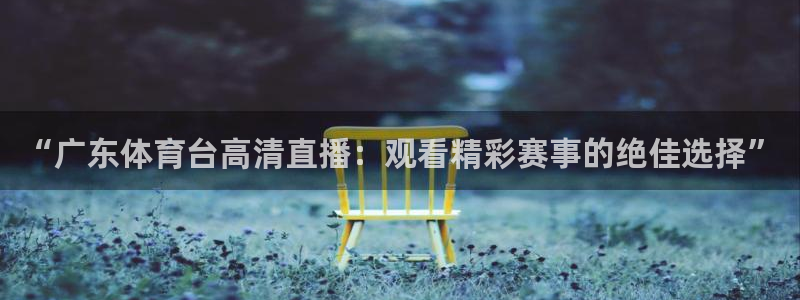 飞速直播足球比赛：“广东体育台高清直播：观看精彩赛事的绝佳选择”