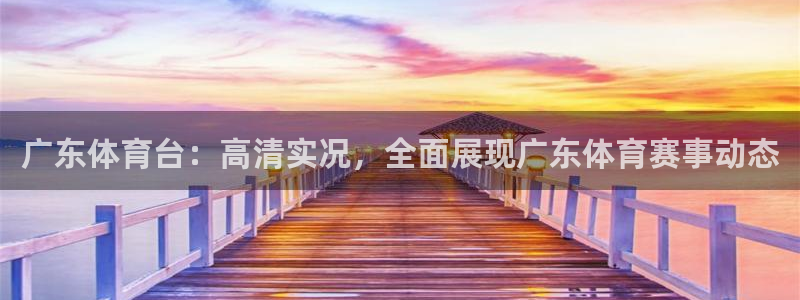 飞速体育在线直播nba：广东体育台：高清实况，全面展现广东体育赛事动态