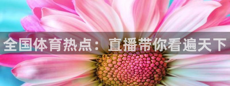 飞速体育直播大厅：全国体育热点：直播带你看遍天下