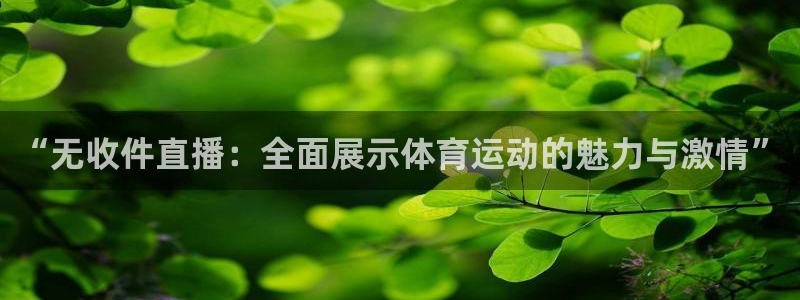 飞速体育：“无收件直播：全面展示体育运动的魅力与激情”