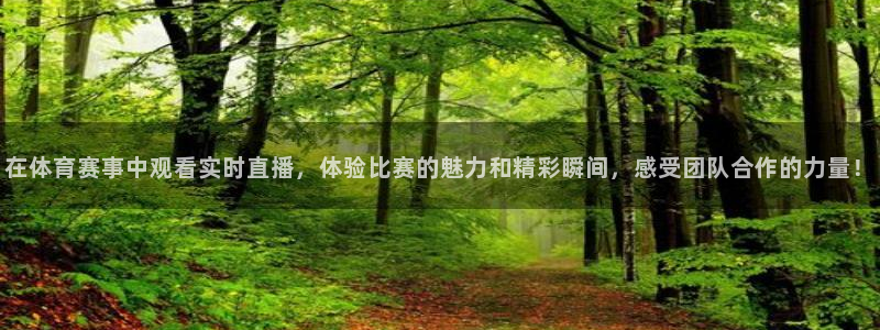nba无插件直播飞速体育直播：在体育赛事中观看实时直播，体验比赛的魅力和精彩瞬间，感受团队合作的力量！
